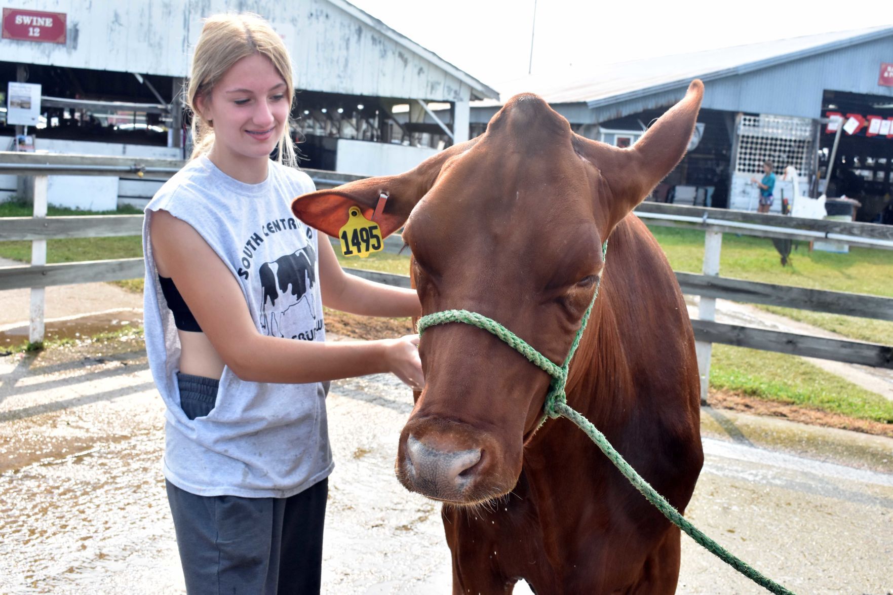 Sauk County Fair